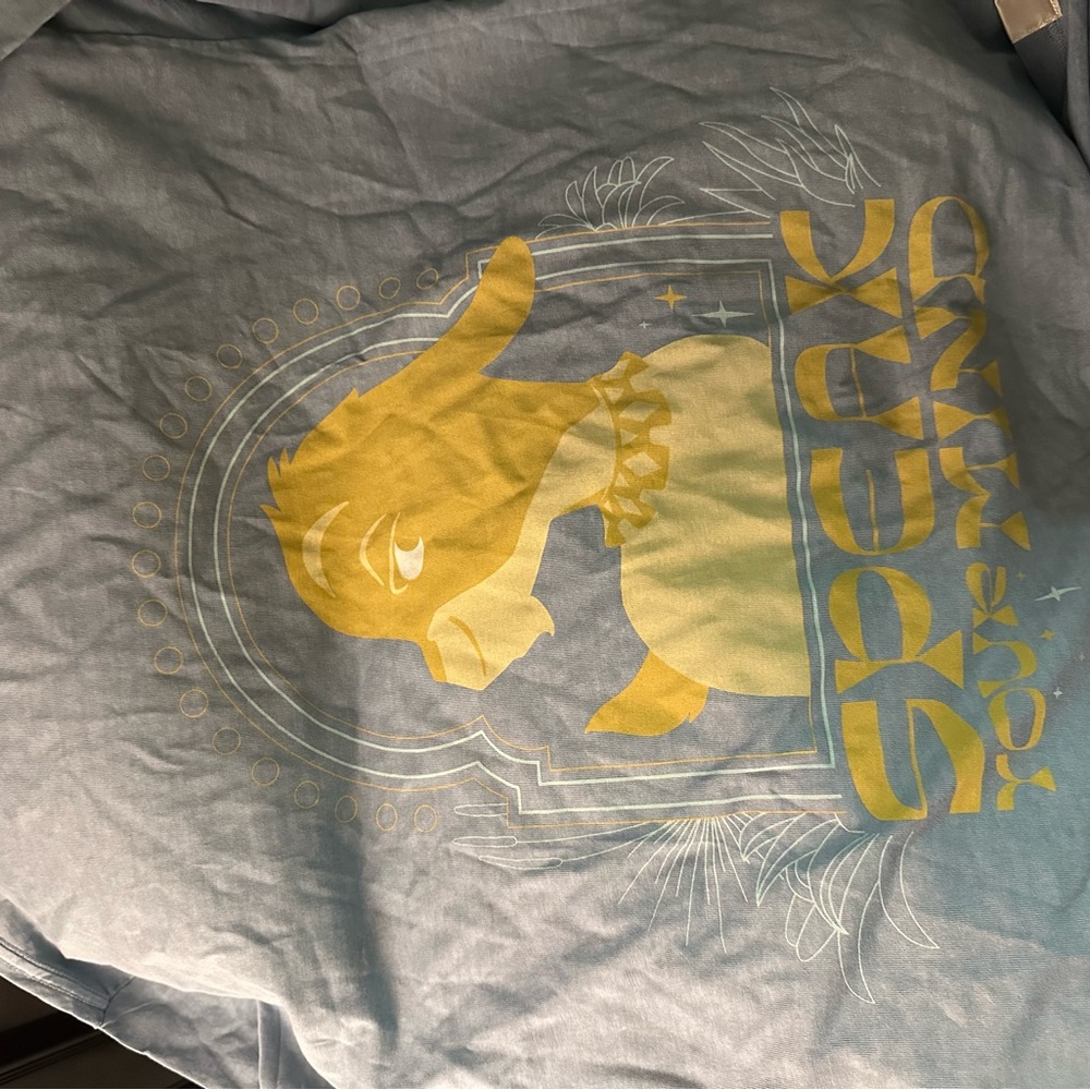 Disney Wish long sleeve